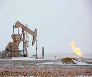 مصر اليوم - الطاقة الأميركية تطور أسعار النفط