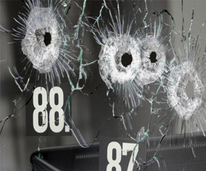   مصر اليوم - ألمانيا: مشروع إنذار مبكر للتصدي لأعمال القتل العشوائي