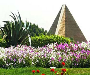 مصر اليوم - ثوار الإسماعيلية يضعون أكاليل الزهور على قبر الجندي المجهول