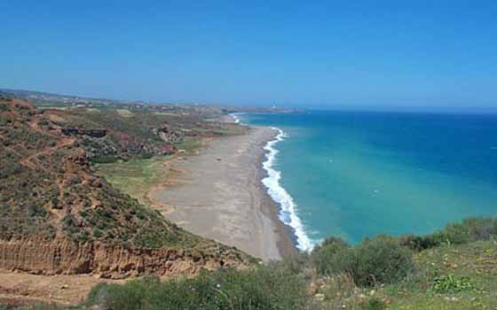   مصر اليوم - جبهة البوليساريو تخوض معركة الثروات الطبيعية ضد المغرب