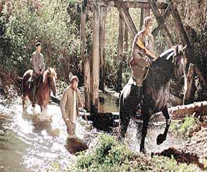 مصر اليوم - في الضباب عن التعامل مع العدو