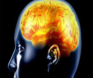   مصر اليوم - أول أكسيد الكربون يتلف خلايا الكائنات الحية