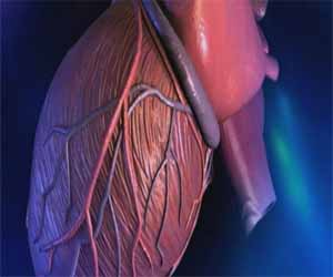   مصر اليوم - الأزمة القلبية وعلاج الأضرار الناجمة عنها