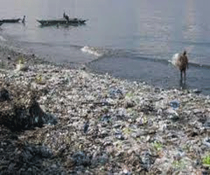   مصر اليوم - مكتشف ينوي القيام برحلة استكشافية لقارة البلاستيك فى الباسيفيك