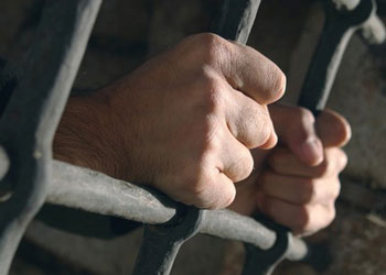   مصر اليوم - الإفراج عن 269 سجينًا في احتفالات عيد تحرير سيناء