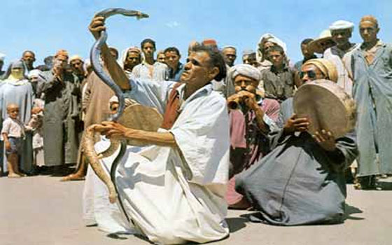 مصر اليوم - حواة جامع الفنا خارج الخدمة لفشلهم في تأمين مصاريف حياتهم