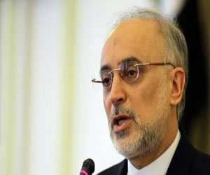   مصر اليوم - توقيف دبلوماسي إيراني لسبب سوء تفاهم