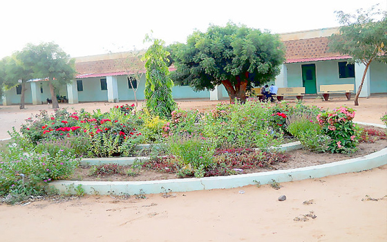   مصر اليوم - الجامعة أسهمت في خدمة المجتمع والحد من هجرة الأساتذة