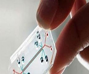   مصر اليوم - تطوير رقيقة بلاستيكية تحمي المنتجات التقنية من القرصنة الفكرية