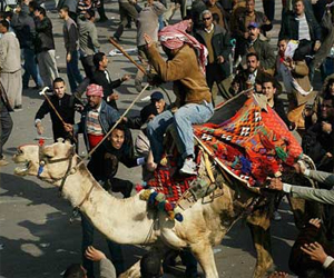   مصر اليوم - حكم نهائي ببراءة متهمي موقعة الجمل وتجديد حبس مبارك على ذمة التحقيق