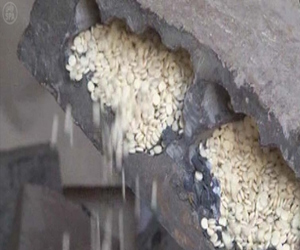   مصر اليوم - ضبط شابين في نواكشوط ابتلعا 2كيلو هيروين لتهريبها إلى أوربا