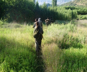   مصر اليوم - أكراد العراق يتمنون عدم سماع أصوات القصف التركي مجددًا