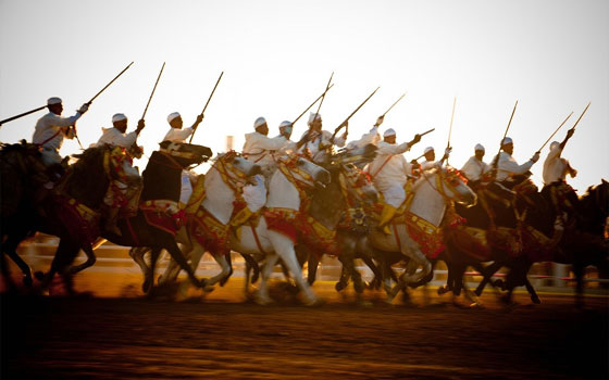 مصر اليوم - فرسان المغرب التقليديون رواد حرب العصابات