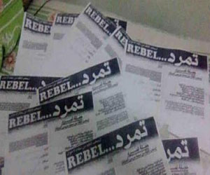   مصر اليوم - الصوفية يشاركون بقوة في تمرد لسحب الثقة من مرسي