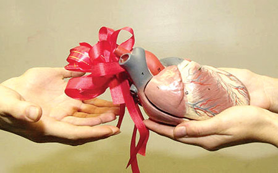   مصر اليوم - المجتمعات العربية تمزج بين رهبة الموت والرغبة في الخلود