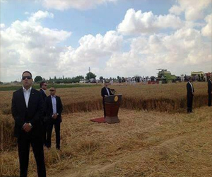   مصر اليوم - أهالي برج العرب: حرس الرئيس منعنا من دخول منطقة القمح