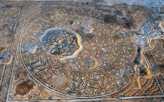 مصر اليوم - إكتشاف سجادة أثرية من الفسيفساء تحت حقل لكيبوتس الإحتلال