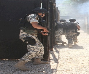   مصر اليوم - الأمن العام اللبناني يوقف لصوص سطوا على آثار سورية