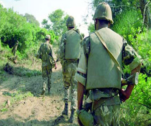   مصر اليوم - الجيش الجزائري يقتل 3 إرهابيين شرق البلاد