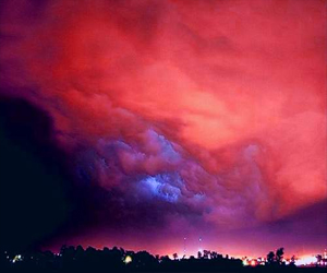   مصر اليوم - الاحتباس الحراري يهدد ثلث الحيوانات ونصف النباتات