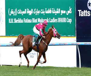   مصر اليوم - الإمارات تُنظّم بطولة العالم للخيول العربية للفارسات