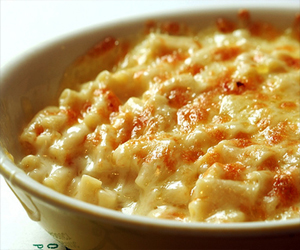   مصر اليوم - مكرونة بالجبنة