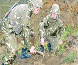   مصر اليوم - تدمير أكثر من 5 آلاف لغم أرضي في الجزائر في أبريل