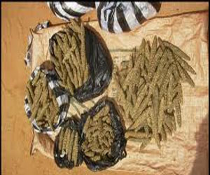 مصر اليوم - سفارة السودان في القاهرة تنفي صلتها بالسائق الذي تم توقيفه وبحوزته مخدرات