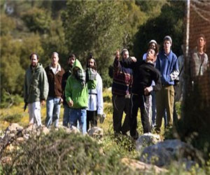   مصر اليوم - المستوطنون يسرقون أراضي الفلسطينيين ويحرقون سنابلهم