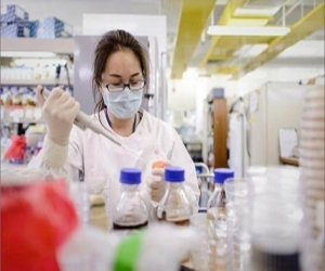   مصر اليوم - مصدر طبي مغربي ينفي إصابة شخص بفيروس كورونا