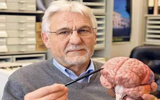 مصر اليوم - علماء يؤكدون أن عقل المجرم هو الشر الكامن في الدماغ