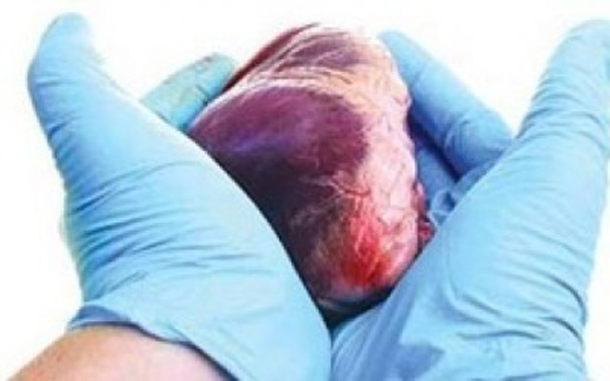 مصر اليوم - مواطن مغربي يرفع شكوى بشأن سرقة إحدى كليتيه في مستشفى