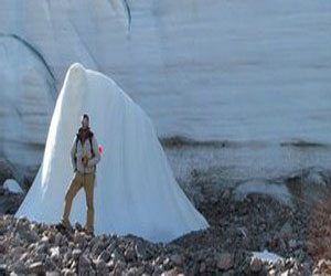   مصر اليوم - نباتات مجمدة منذ قرون تعود إلي الحياة