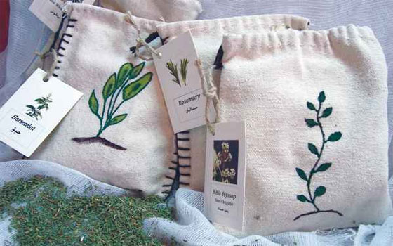 مصر اليوم - التداوي بالطب الشعبي في سيناء منظومة علاجية لا تعترف بالطب الحديث