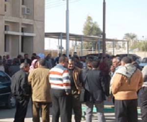   مصر اليوم - احتجاج العاملون بالشباب والرياضة في الدقهلية للمطالبة بتثبيتهم