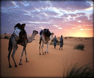   مصر اليوم - 17 قتيلاً جراء موجة حر شديدة اجتاحت موريتانيا