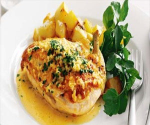   مصر اليوم - دجاج ديان