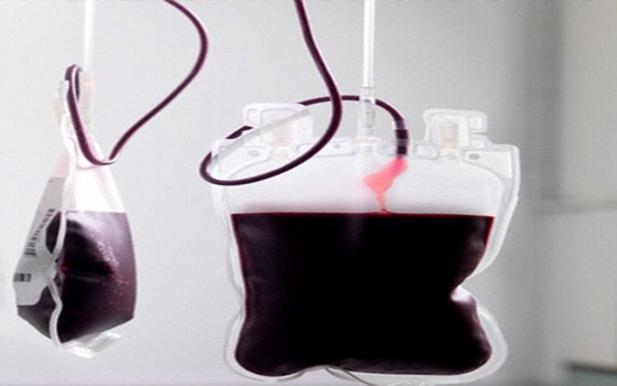  مصر اليوم - التبرع بالدم يحد من مخاطر الأزمات القلبية والسرطان