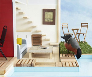   مصر اليوم - أفضل بيت للطيور البريطانية في العالم