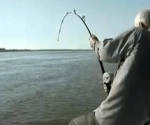 مصر اليوم - صياد مصري حاول إمساك سمكة بين أسنانه فانزلقت إلى حلقه