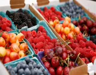 مصر اليوم - النباتيون أطول عمرًا وأقل تعرضًا للأمراض