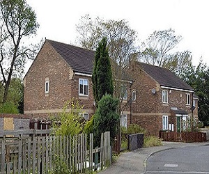   مصر اليوم - سيدة تنفق 200 ألف إسترليني لـ تغيظ جيرانها