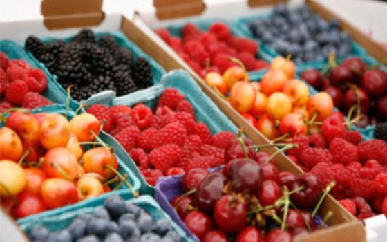 مصر اليوم - النباتيون أطول عمرًا وأقل تعرضًا للأمراض