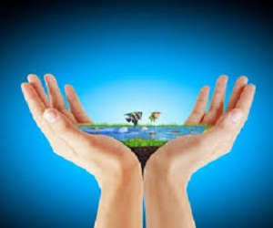 مصر اليوم - انعقاد المؤتمر العالمي السابع للتربية البيئية في مراكش