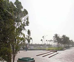 مصر اليوم - قطر: العواصف الترابية تتسبب بإفساد العُطلة الأسبوعية