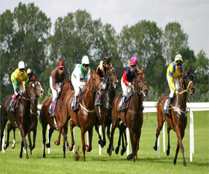   مصر اليوم - مؤتمر دولي يشيد بمستوى الفارسات العربيات