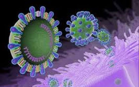   مصر اليوم - الصحة العالمية تؤكد أن السعودية سيطرت على فيروس كورونا بـتميز