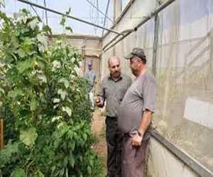 مصر اليوم - اتحاد لجان العمل الزراعي يشارك في معرض المعرفة البيئية