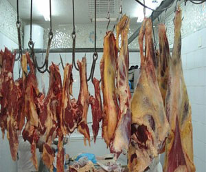   مصر اليوم - ضبط 70 كيلوجرامًا لحوم فاسدة في محل جزارة في الإسماعيلية