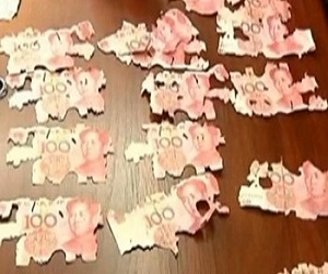 مصر اليوم - نمل مفترس يحول ثروة سيدة صينية إلى فتات